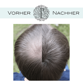 Fidentia Premium hair fibers 28g